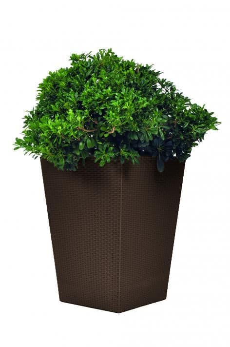 Прямоугольный горшок Rattan Planter L (виски коричневый 521)